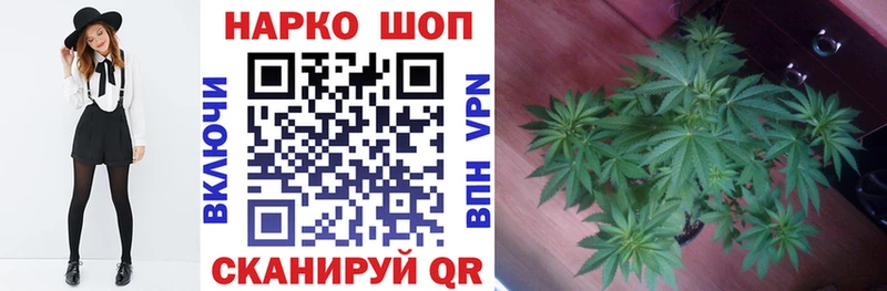 Наркошоп купить Каннабис  Галлюциногенные грибы  Амфетамин  ГАШИШ  А ПВП  Меф  Нижняя Салда
