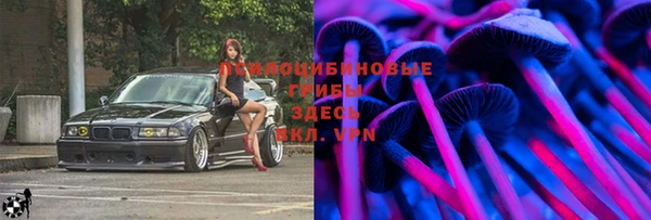 эйфоретик Вязьма