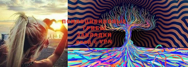 амфетамин Вяземский
