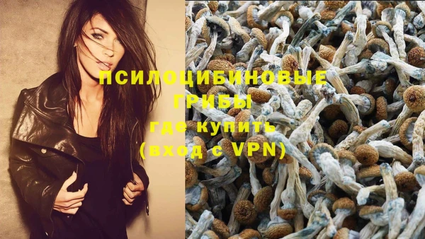 амфетамин Вяземский